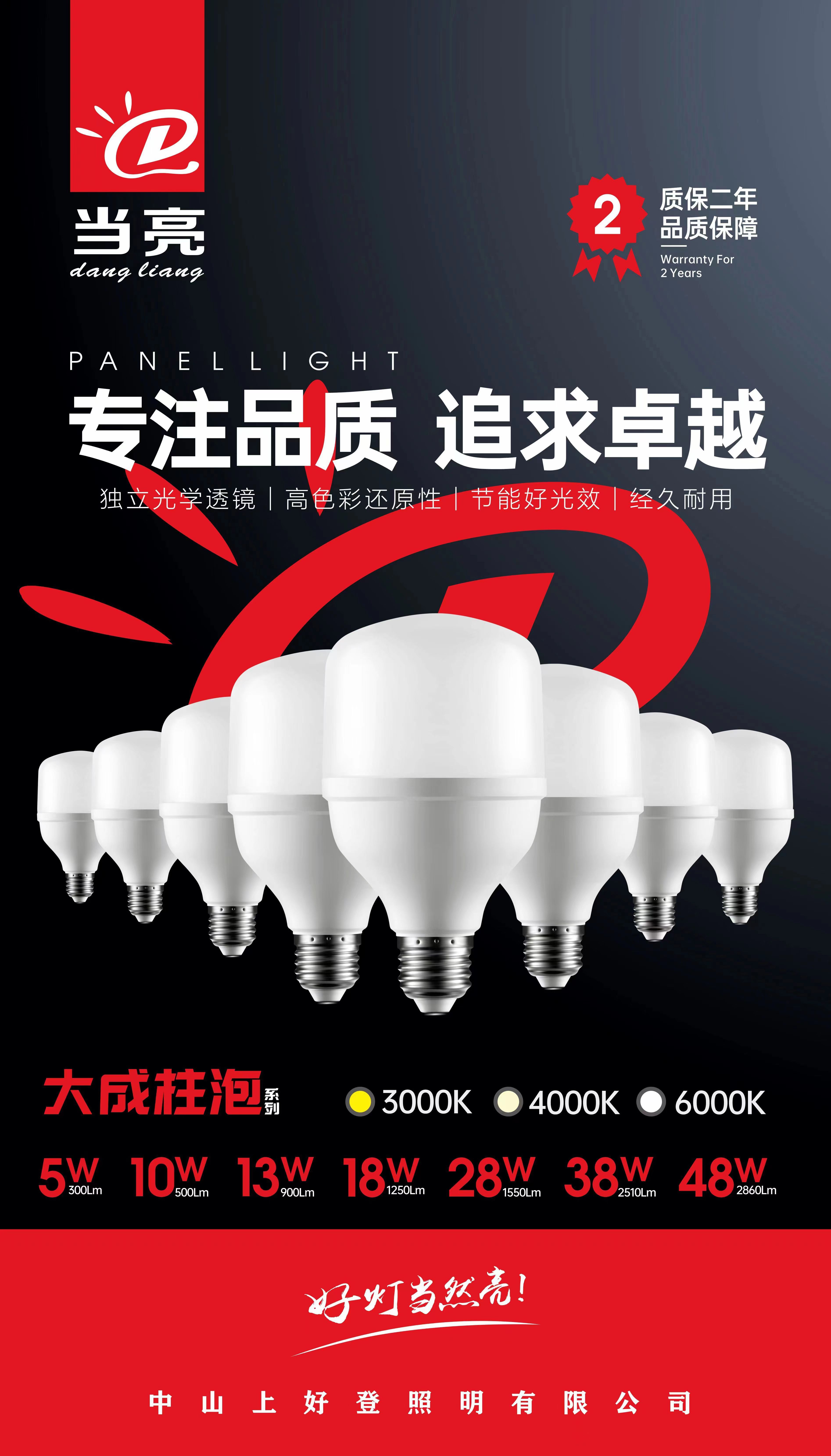 临沂当亮照明(图5)